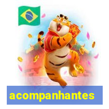 acompanhantes masculino pvh