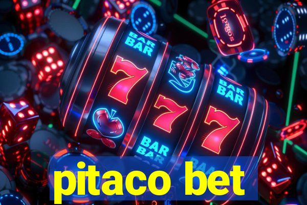 pitaco bet