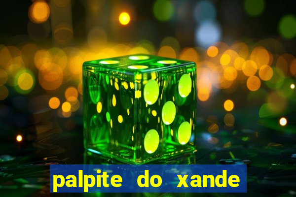 palpite do xande de hoje