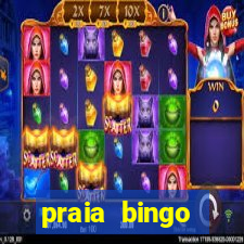 praia bingo dinheiro infinito 2022