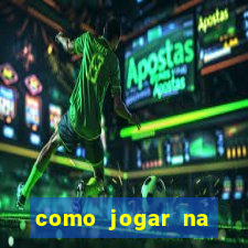 como jogar na seninha online