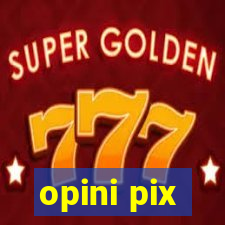 opini pix