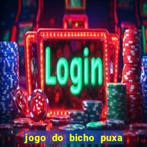 jogo do bicho puxa de dona maria