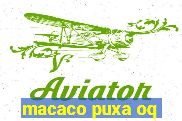 macaco puxa oq