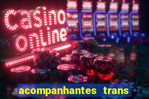 acompanhantes trans baixada fluminense