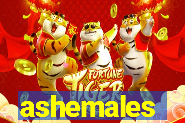 ashemales