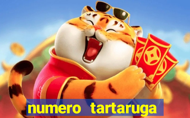 numero tartaruga jogo do bicho