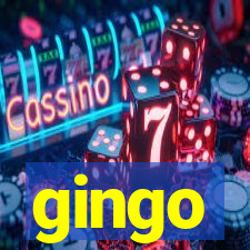 gingo