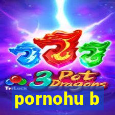 pornohu b