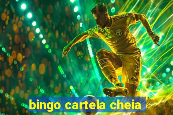 bingo cartela cheia