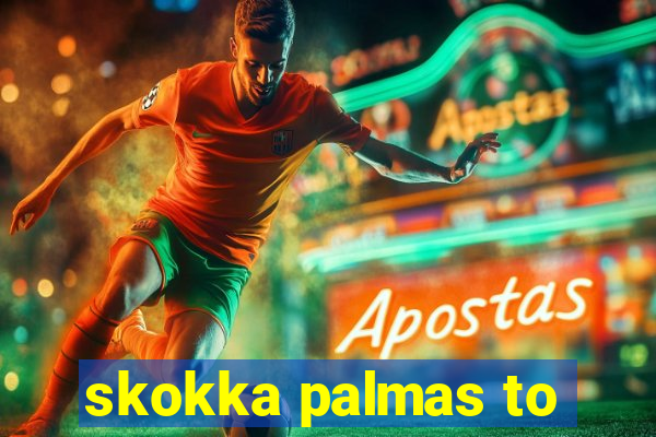 skokka palmas to