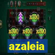 azaleia-br.com