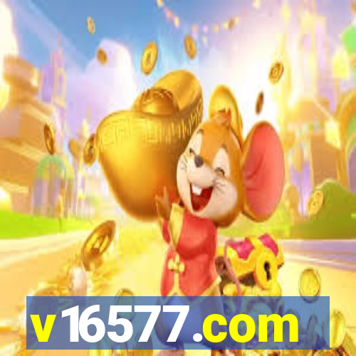 v16577.com