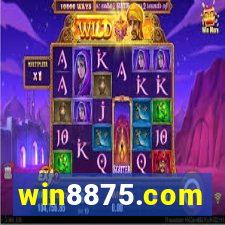 win8875.com